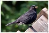 IMG_4694.jpg