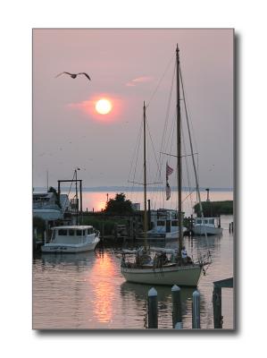 Chesapeake SunsetTilghman Island, MD