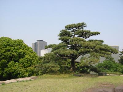 Japan2005029.JPG