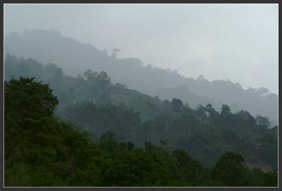 Mystic hills of Penang