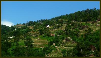 Trekking in Penang hills