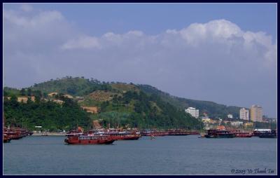 Halong city harbour