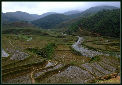 Hills, brook and rice terraces