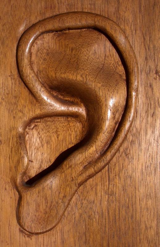 Ear in wood
