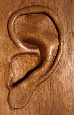 Ear in wood