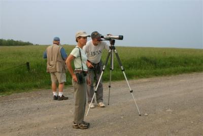 Spring 2005 Warbler Cavort