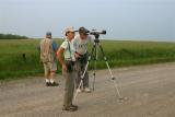 Looking for Henslows Sparrow