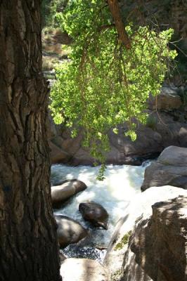 St. Vrain river #2