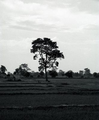Image1200.jpg