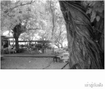 HIE0015 copy.jpg