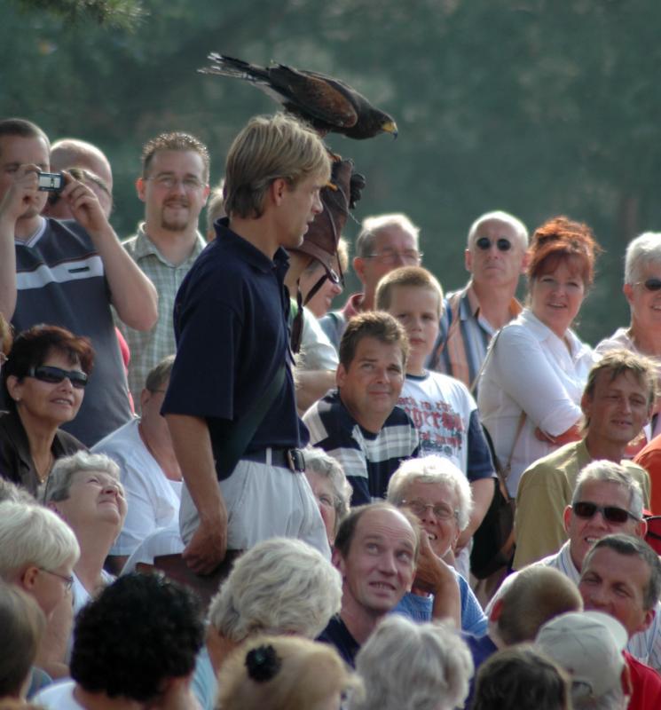 Roofvogeldemonstratie