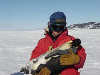 Sad S holding dead Emporer penguin.jpg