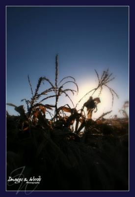 Fall 2005