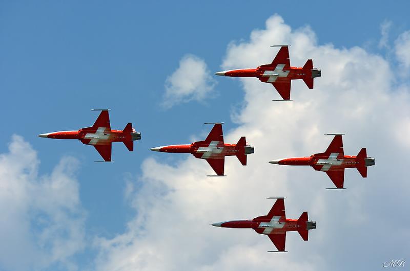 Patrouille Suisse (F5-Tiger)