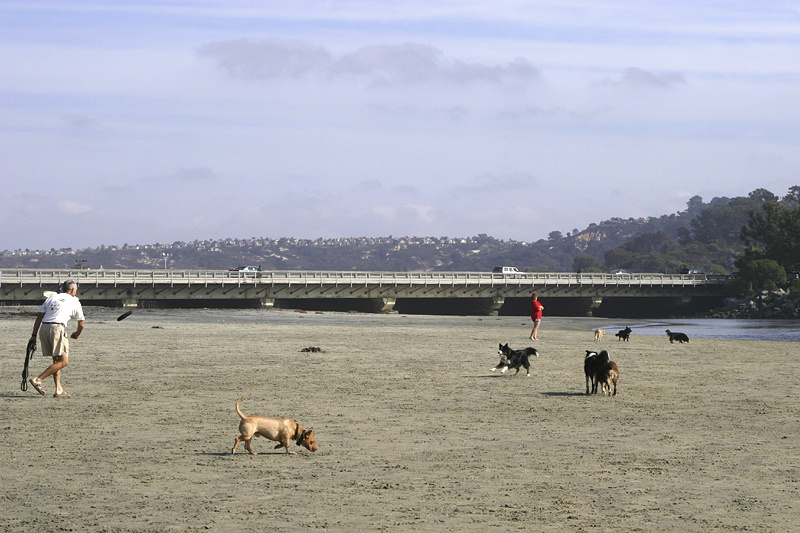 October 13, 2005<br>Dog Beach!