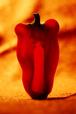 August 24, 2005Red Pepper