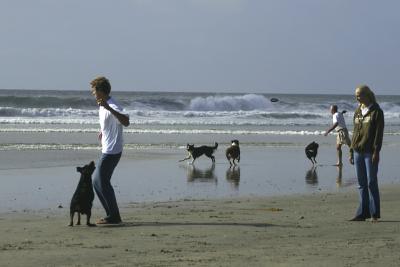 Dog Beach, Southern California