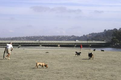 October 13, 2005Dog Beach!