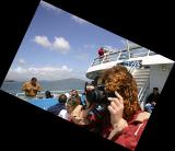 Sausalito Ferry