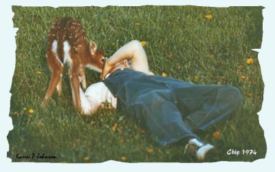 Chip and his fawn