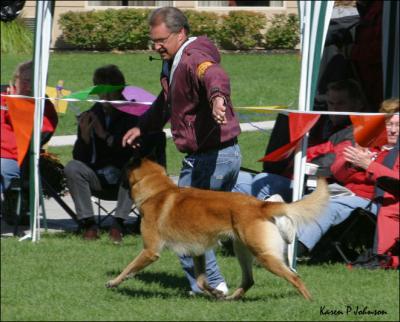 v3/72/459272/3/50499281.Samtrot4496w.jpg