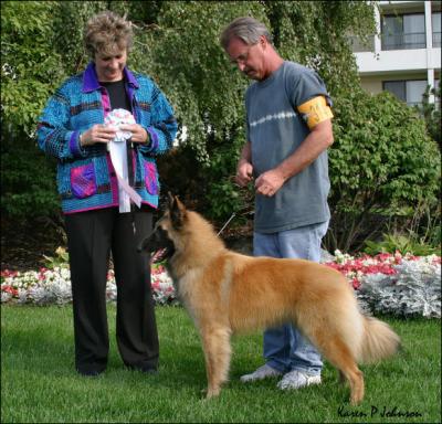 Best In Puppy Sweeps