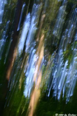 Abstracts