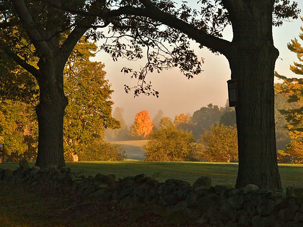 Maudslay morning mist