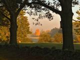 Maudslay morning mist