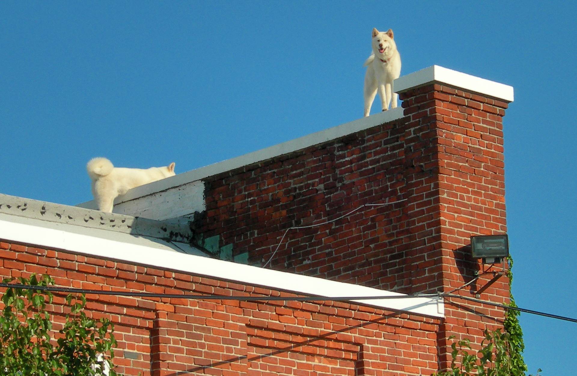 Up on the roof August 18 2005 p.jpg