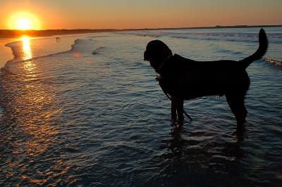 Labrador sunrise August 27 2005 p.jpg