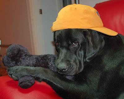 Java prior to bed on September 21 2005 p.jpg