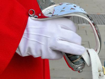 v3/72/523572/3/50765785.PHorseGaurd2October92005.jpg