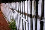 Fence on Warren June 12 2005 p.jpg