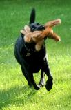 Java on the run June 18 2005 p.jpg