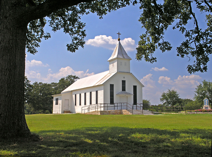 Pin Oak ,Texas