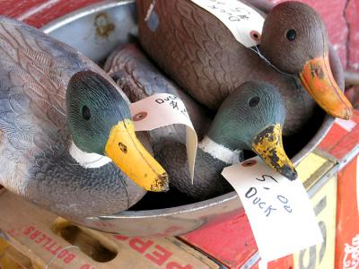 Ducks