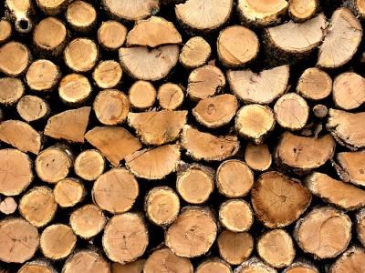 Wood pile