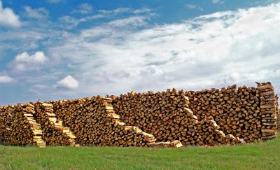 Another wood stack
