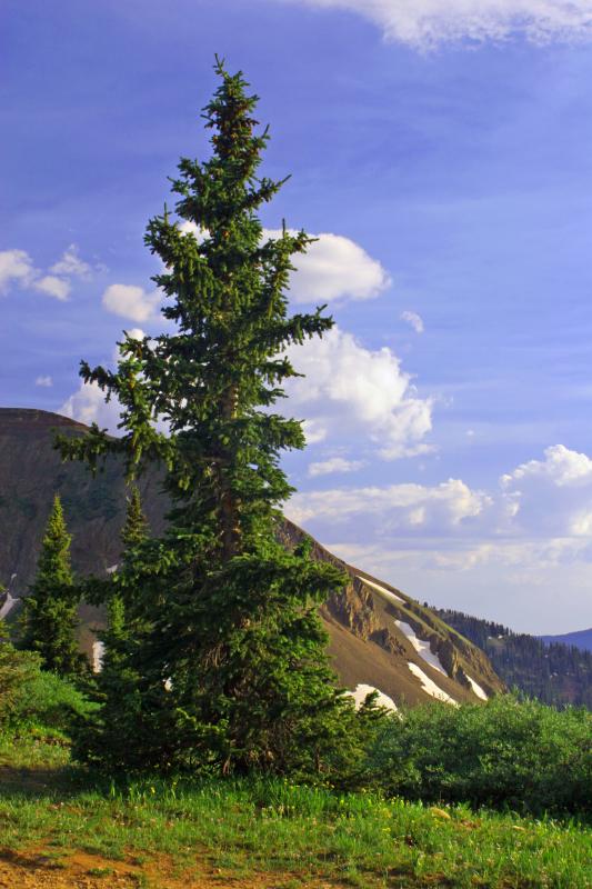 Kinnebec pass