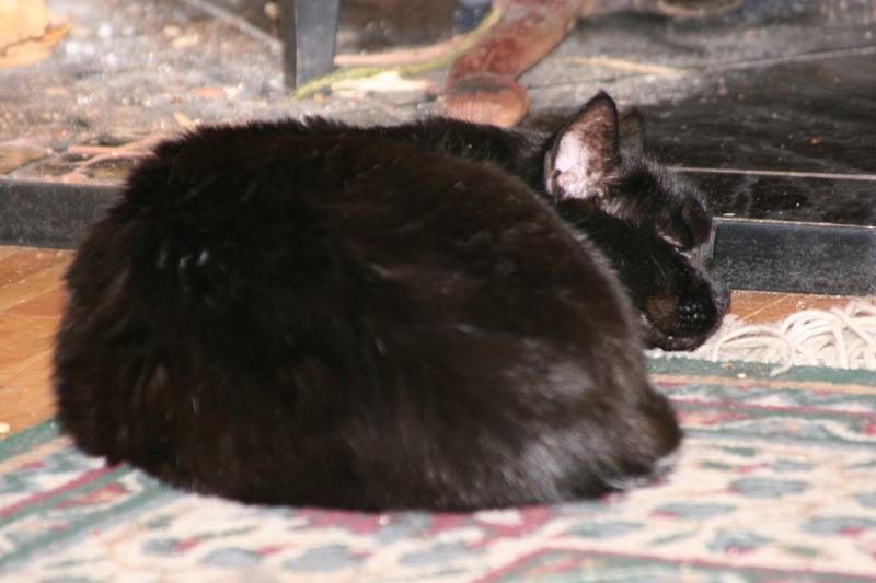 Smokey Joe