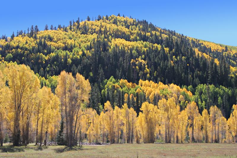 taken along the upper Dolores river