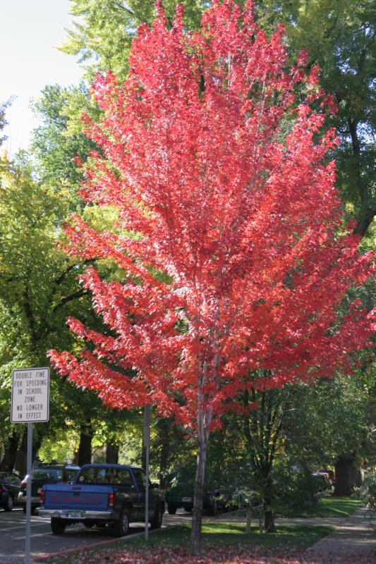 Colors on 3rd ave.