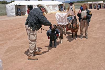 Thirsty Sheriff