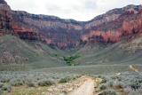 Trail back to indian gardens.jpg