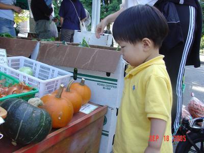 DSC04553.jpg