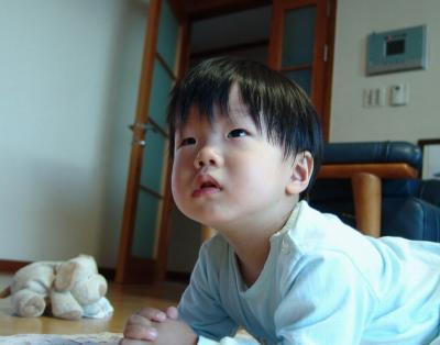 DSC00020.jpg