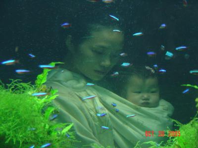 DSC05146_resize.JPG