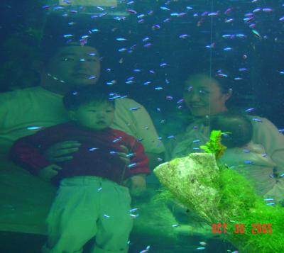 DSC05149_resize.JPG