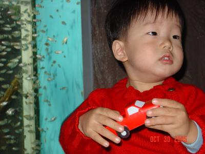DSC05153_resize.JPG